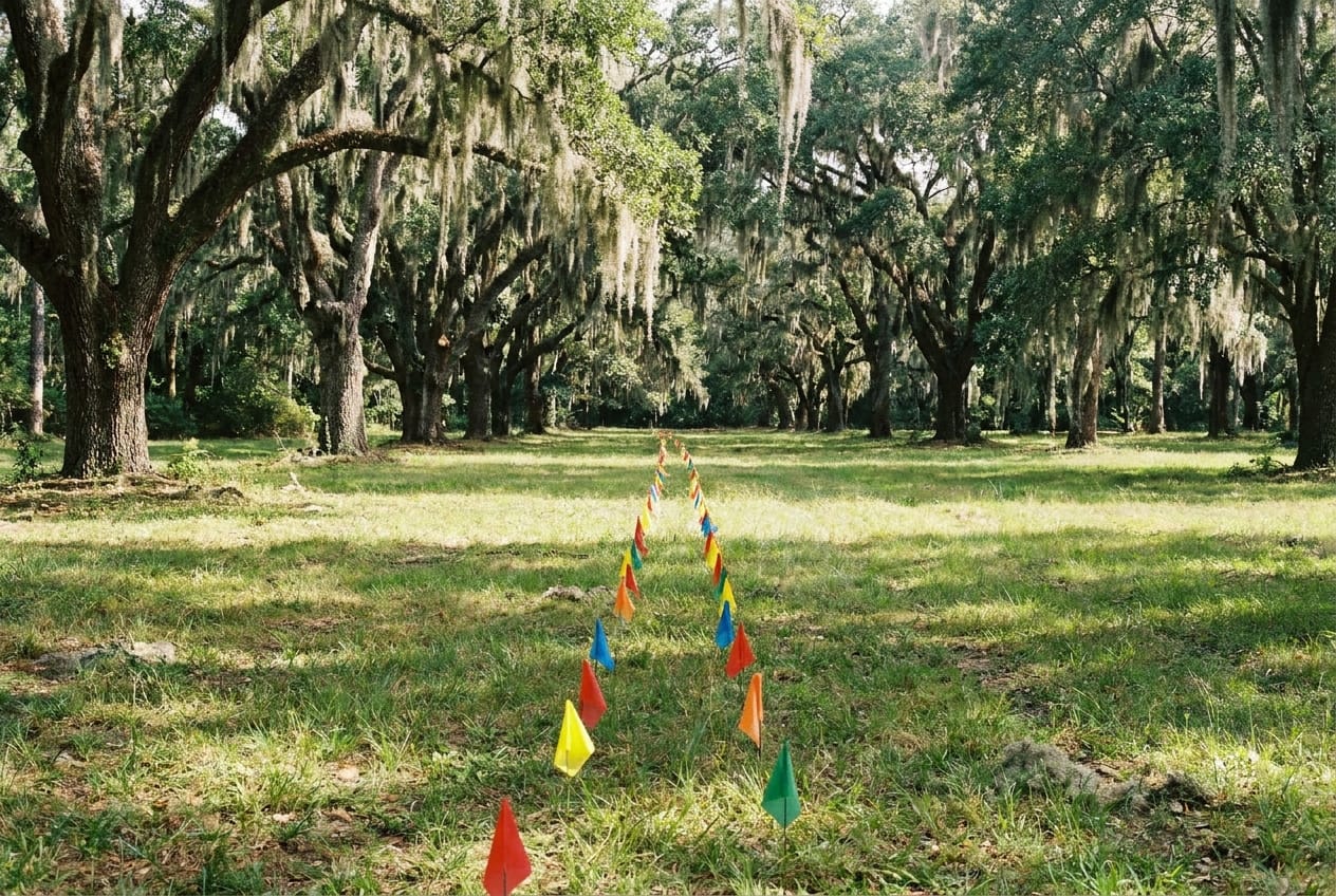 Underground Utility Marking for Lowcountry Fencing Projects — Low Country Custom Outdoors